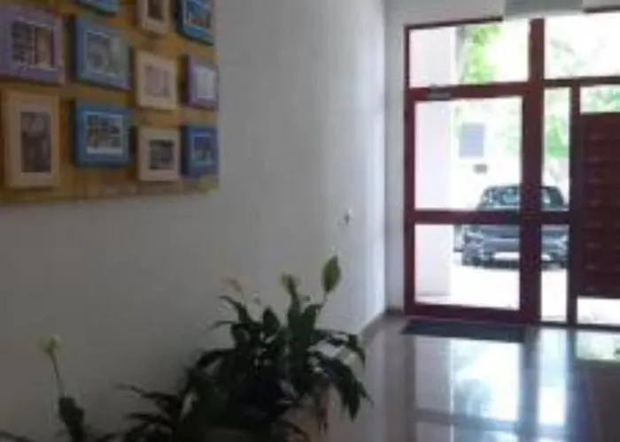 Flat In Apartment